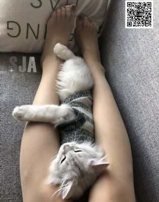 蜜桃成熟时7