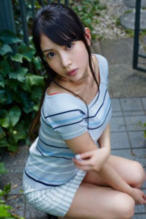 森林里的熊先生在冬眠中