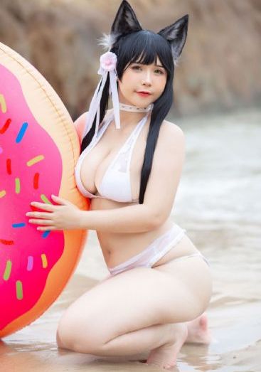 狮子王2