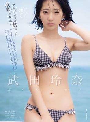 文豪野犬第六季全集免费观看